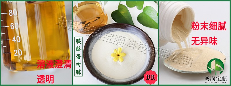 胰酪蛋白胨Y010E細節.jpg 胰酪蛋白胨Y010E細節.jpg