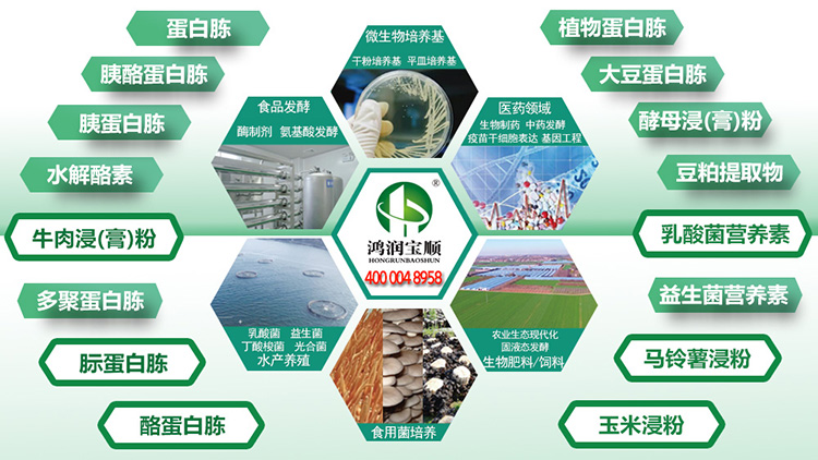 產品系列.jpg 產品系列.jpg