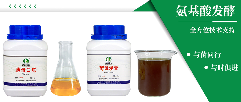 氨基酸發酵.jpg 氨基酸發酵.jpg