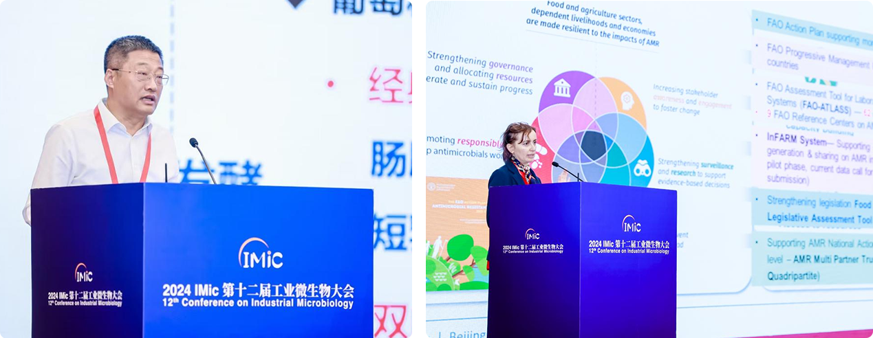 圖片3.png 圖片3.png