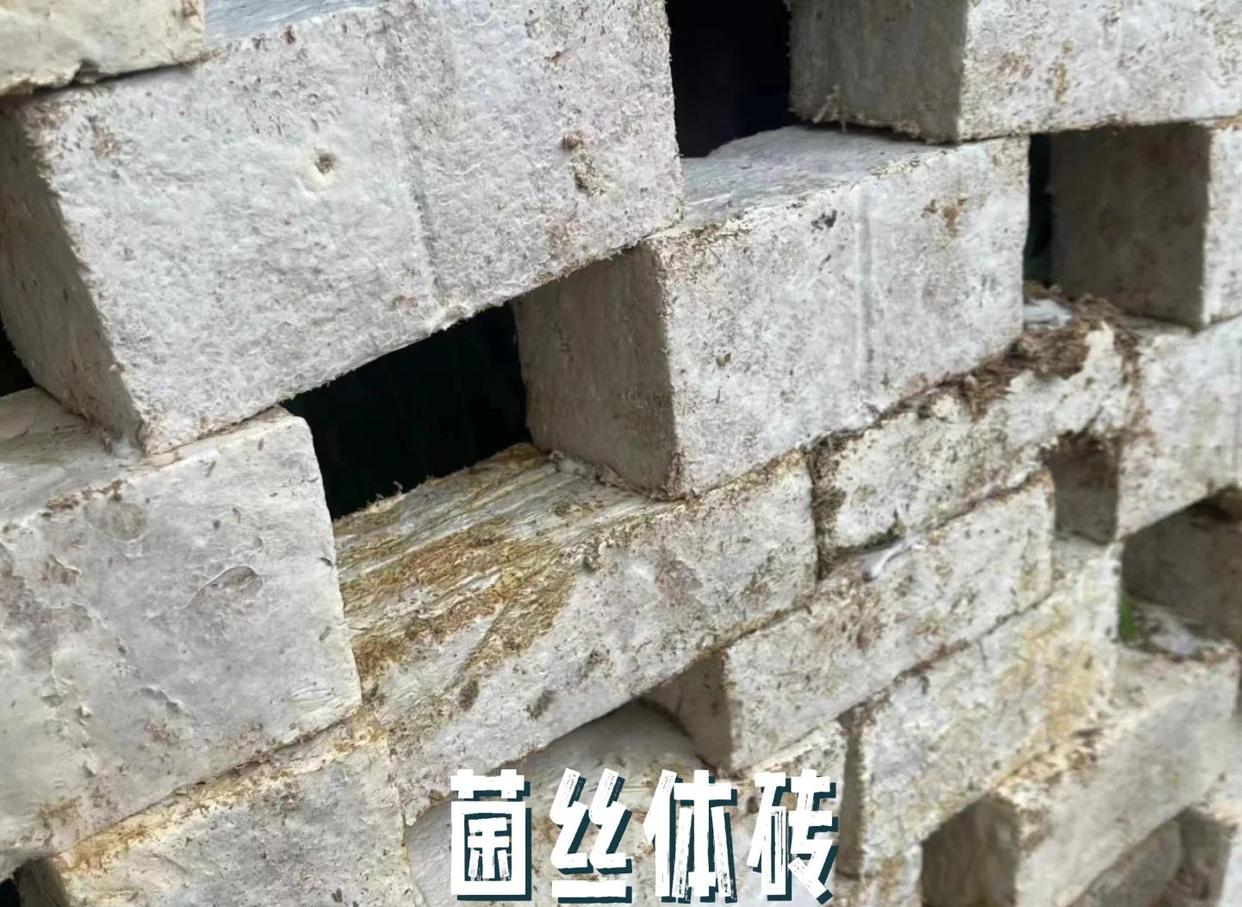 37d12f2eb9389b50dfdafc4b2879fbd2e7116e59.jpeg 37d12f2eb9389b50dfdafc4b2879fbd2e7116e59.jpeg