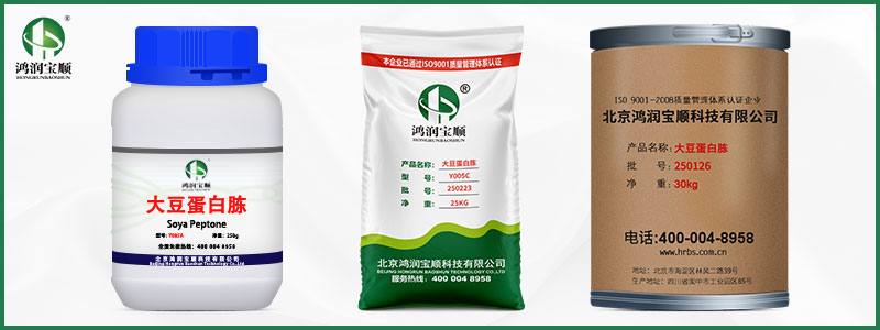大豆蛋白胨.jpg