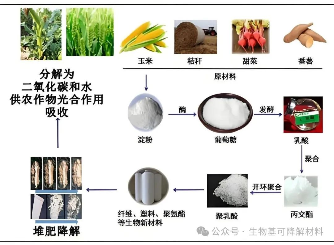 圖片2.png 圖片2.png