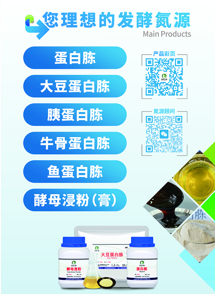 理想發(fā)酵氮源.jpg 理想發(fā)酵氮源.jpg