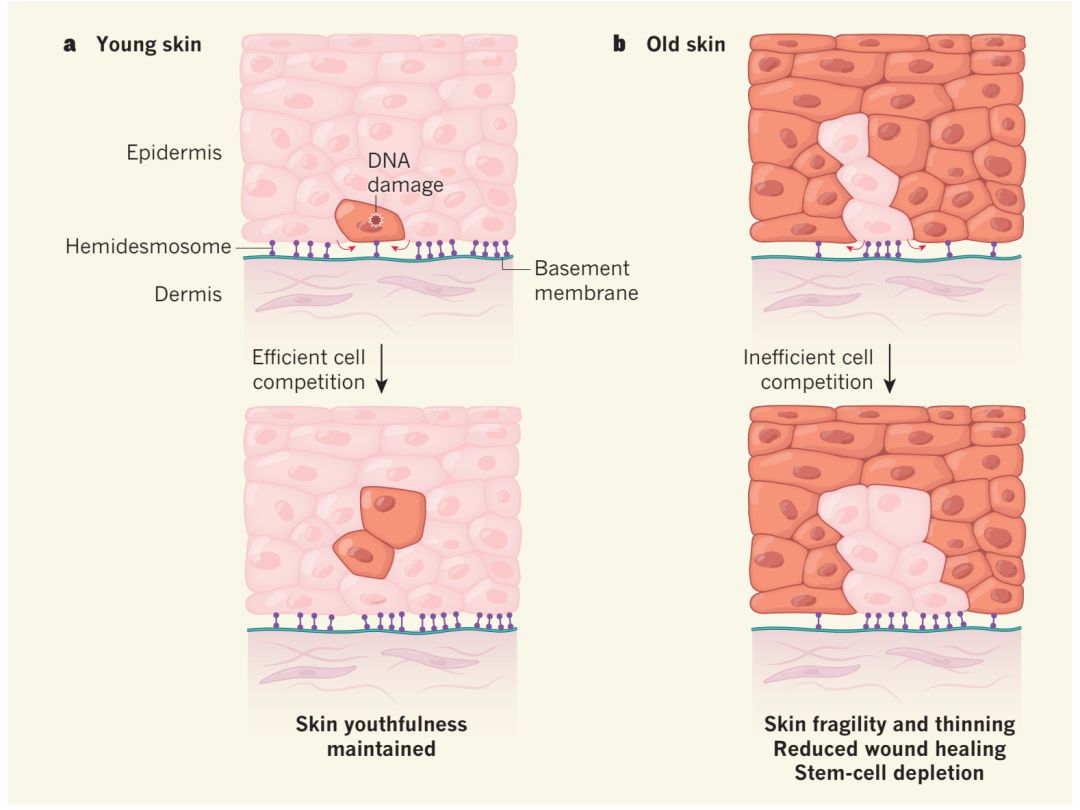 RMcgOZk1jEGeCZ.jpg RMcgOZk1jEGeCZ.jpg