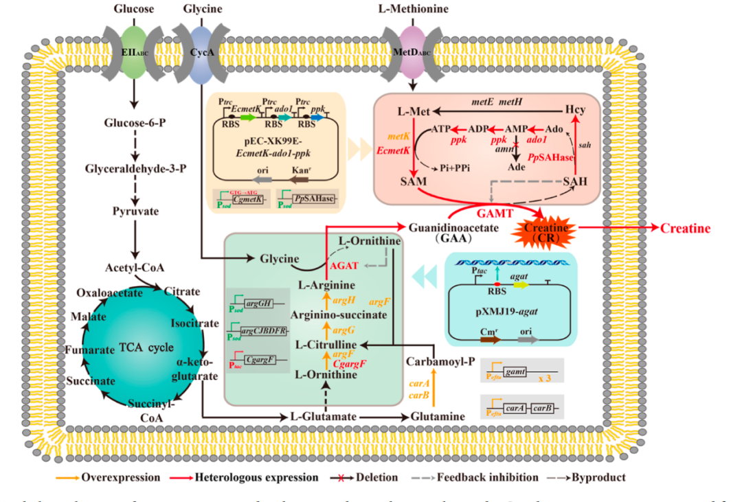 圖片1.png 圖片1.png