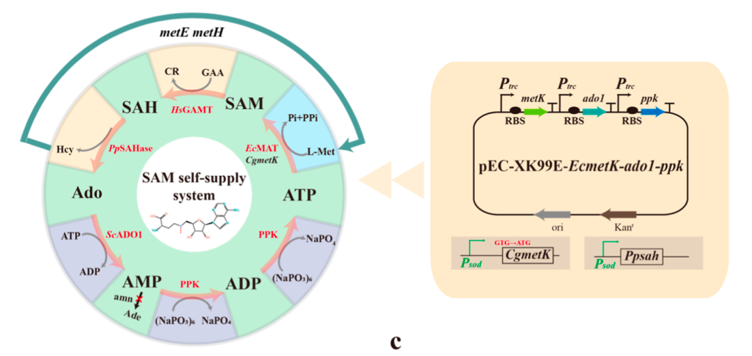 圖片3.png 圖片3.png