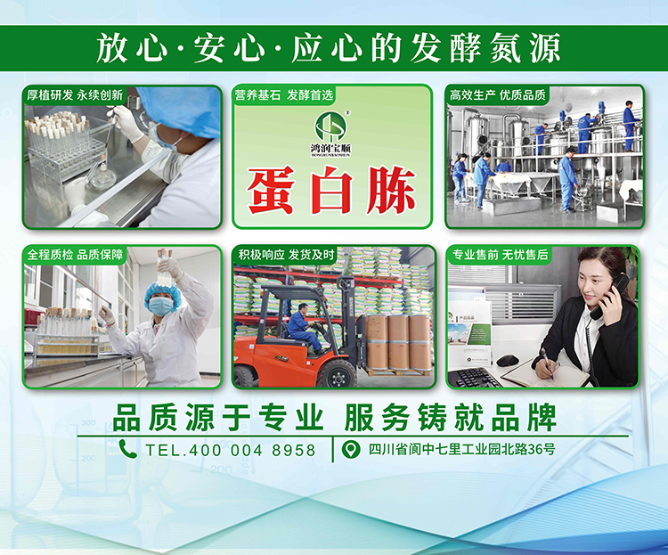 企業實力-KT板右.jpg 企業實力-KT板右.jpg