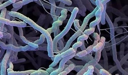 圖片1.png 圖片1.png