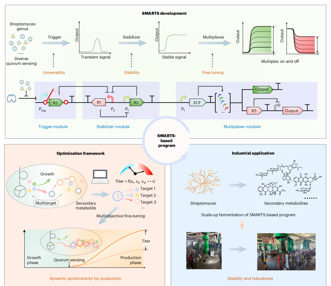 圖片2.png 圖片2.png