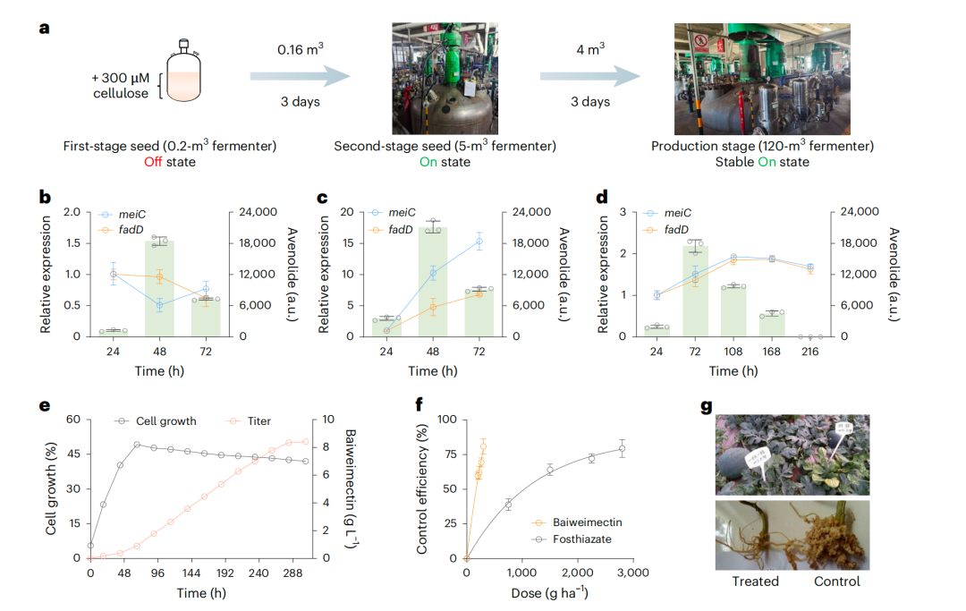 圖片3.png 圖片3.png