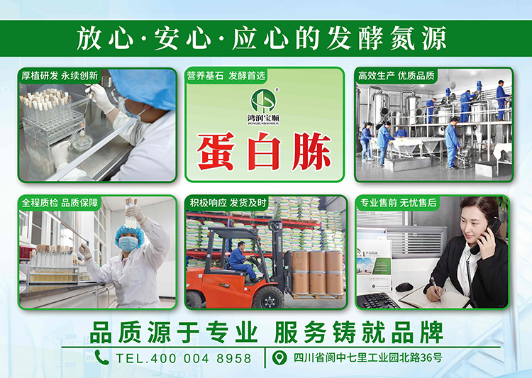 企業實力-KT板右.jpg 企業實力-KT板右.jpg