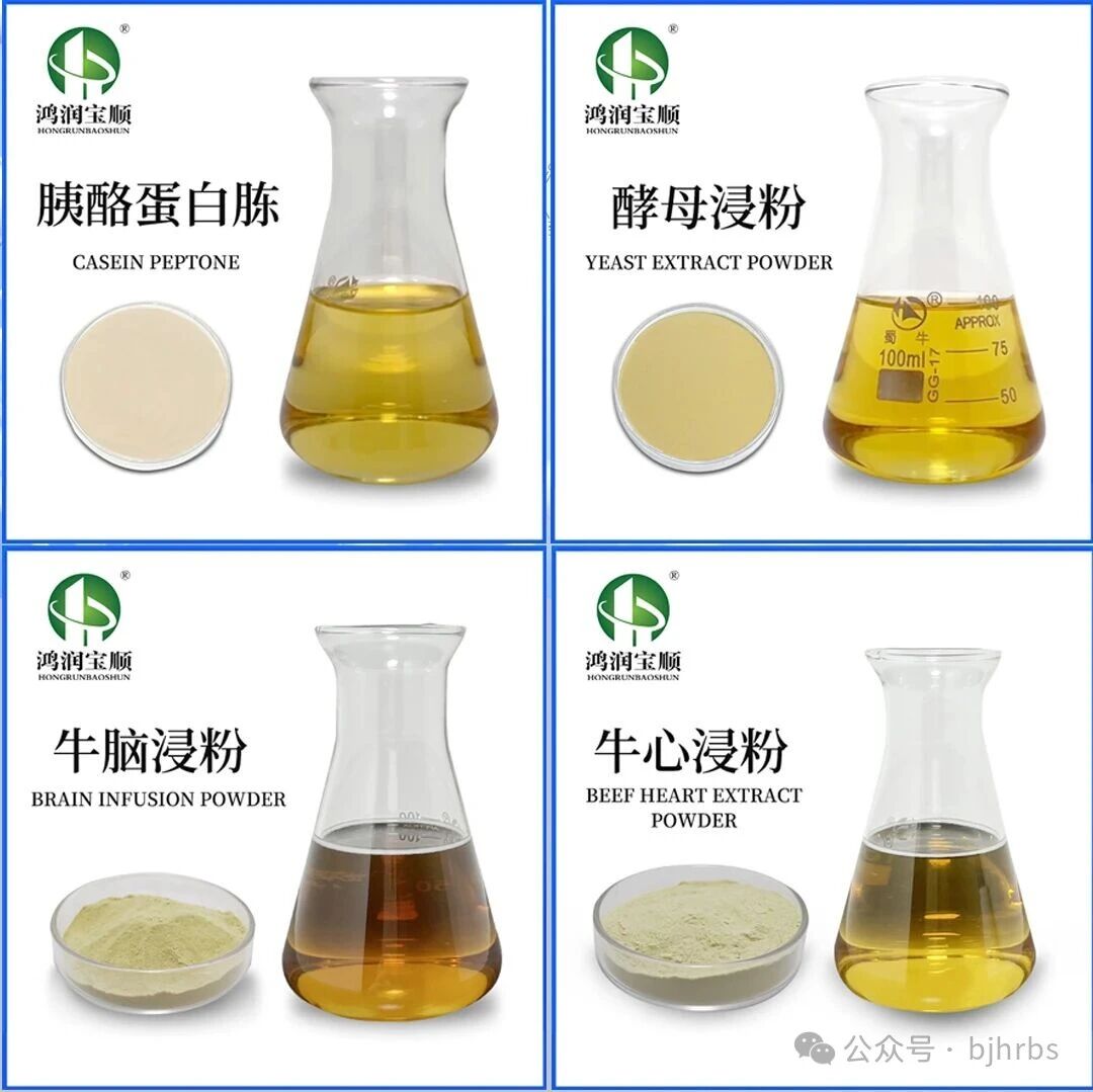 微信圖片_2025-12-15_104718_664.jpg 微信圖片_2025-12-15_104718_664.jpg