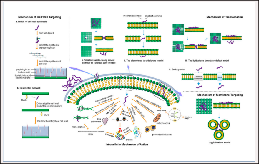 圖片1.png 圖片1.png
