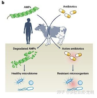 圖片2.png 圖片2.png