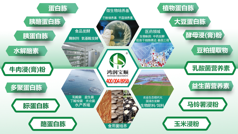 鴻潤寶順培養基原材料應用領域和主營產品.jpg