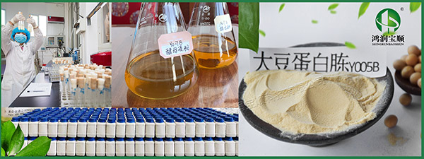 培養基原料您選對了嗎？