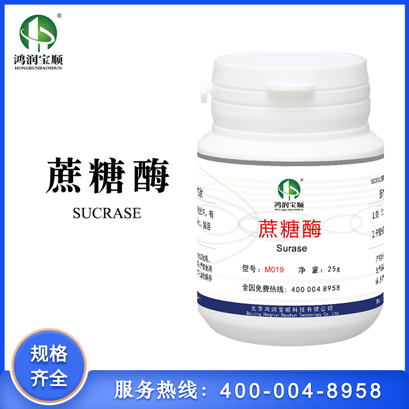 蔗糖酶