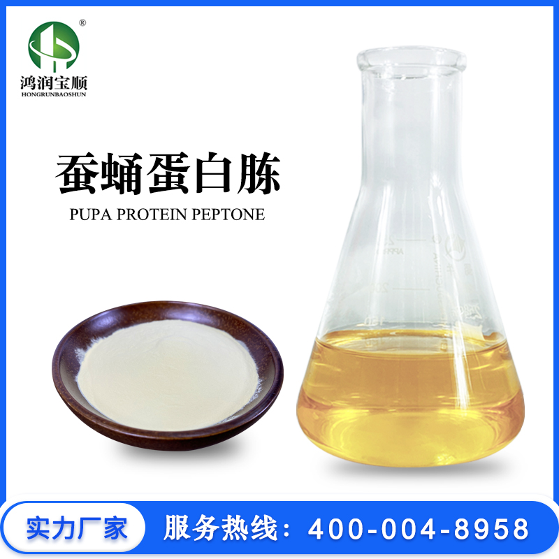 蠶蛹蛋白胨