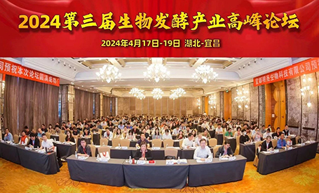 秀出“專業范” 鴻潤寶順亮相這個高峰論壇