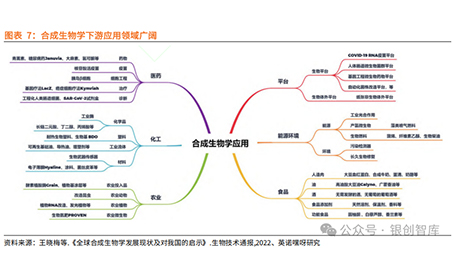 2025年中國合成生物學產業現狀分析