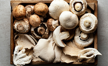 麥角硫因：食用菌中的“長壽維生素”