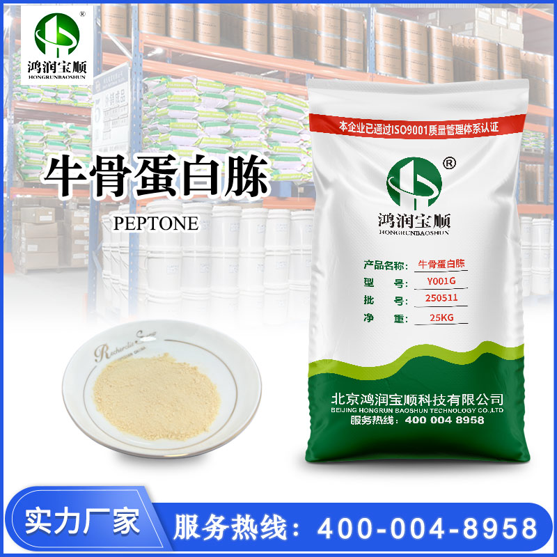 牛骨蛋白胨