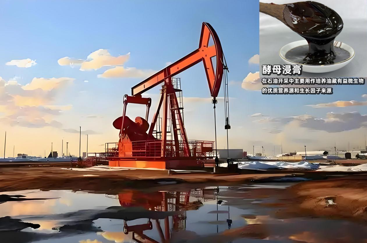 固態發酵技術的應用