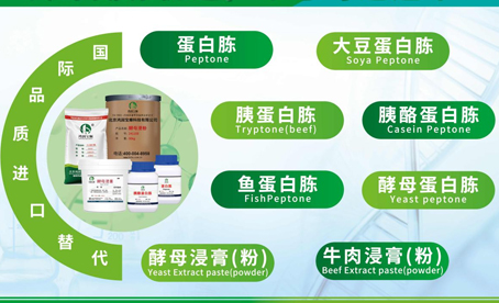 2025年生物基材料5家龍頭公司主營 產品深度分析