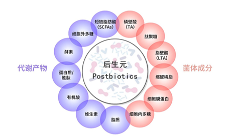 你知道這些概念的區別嗎？（益生菌、益生元、合生元、后生元和新生元）